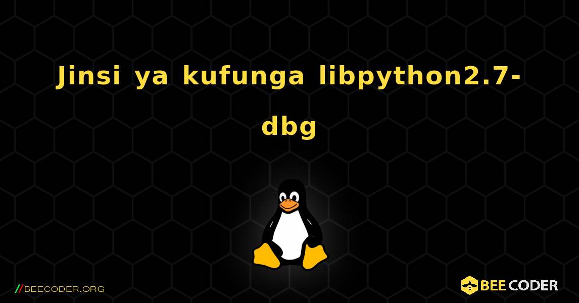Jinsi ya kufunga libpython2.7-dbg . Linux