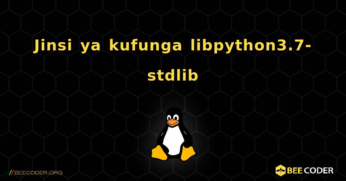 Jinsi ya kufunga libpython3.7-stdlib . Linux