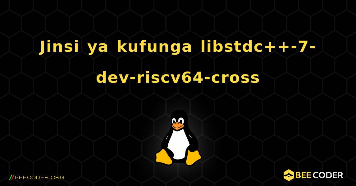 Jinsi ya kufunga libstdc++-7-dev-riscv64-cross . Linux