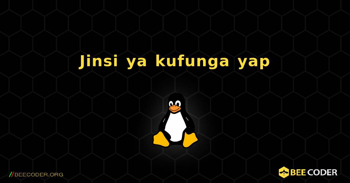 Jinsi ya kufunga yap . Linux