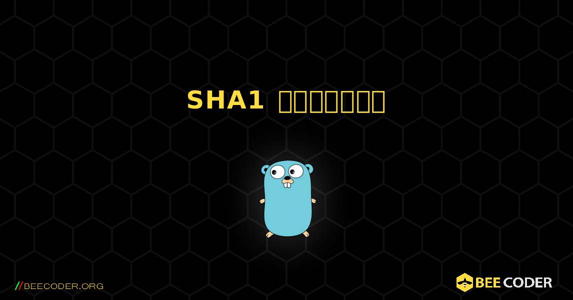 SHA1 ஹாஷ்கள். GoLang