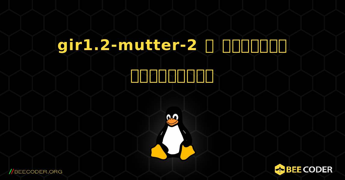 gir1.2-mutter-2  ஐ எவ்வாறு நிறுவுவது. Linux