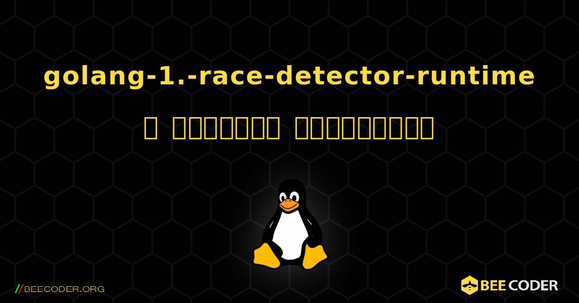 golang-1.-race-detector-runtime  ஐ எவ்வாறு நிறுவுவது. Linux