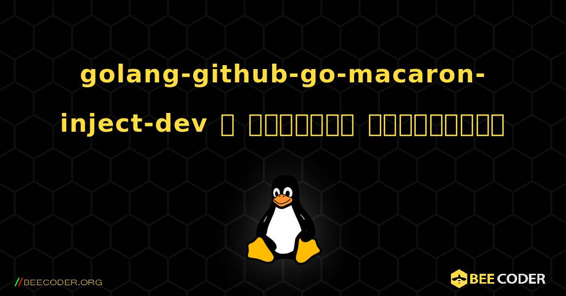 golang-github-go-macaron-inject-dev  ஐ எவ்வாறு நிறுவுவது. Linux
