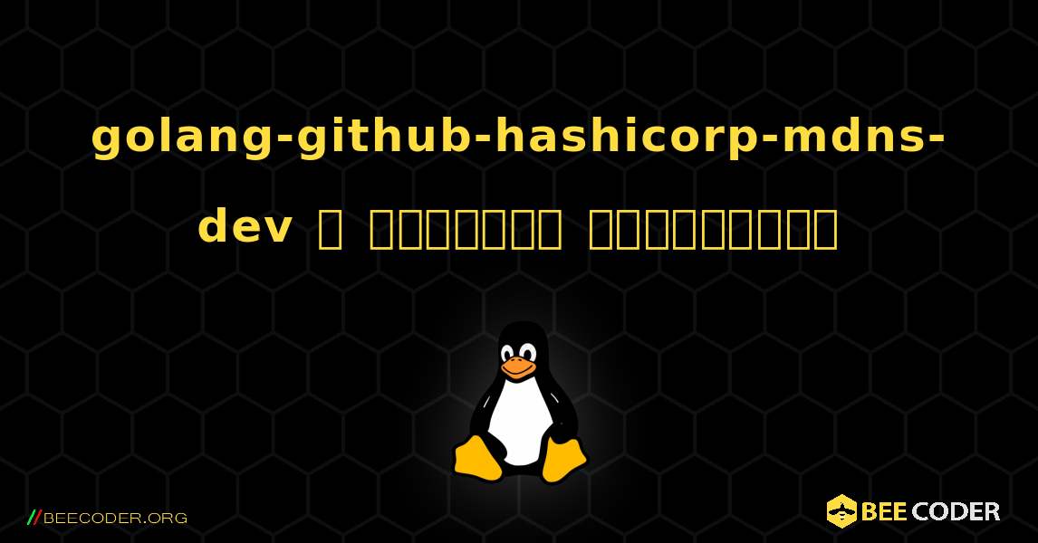 golang-github-hashicorp-mdns-dev  ஐ எவ்வாறு நிறுவுவது. Linux