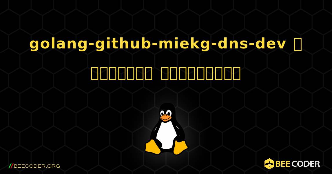 golang-github-miekg-dns-dev  ஐ எவ்வாறு நிறுவுவது. Linux