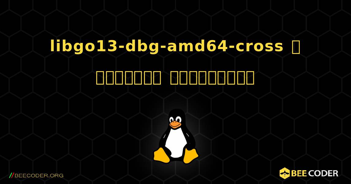 libgo13-dbg-amd64-cross  ஐ எவ்வாறு நிறுவுவது. Linux