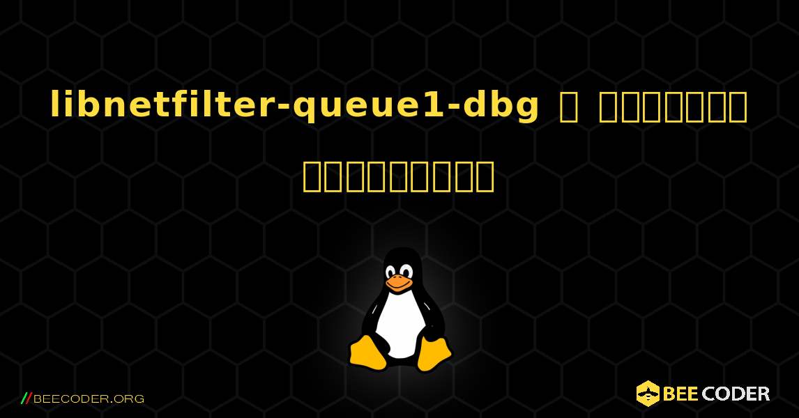 libnetfilter-queue1-dbg  ஐ எவ்வாறு நிறுவுவது. Linux