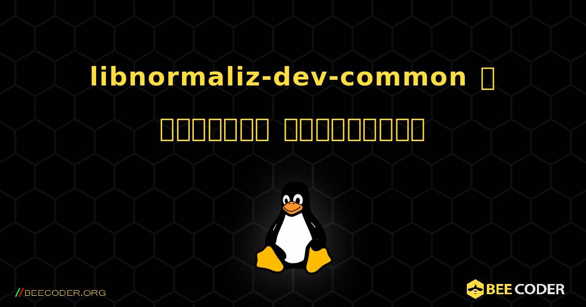 libnormaliz-dev-common  ஐ எவ்வாறு நிறுவுவது. Linux