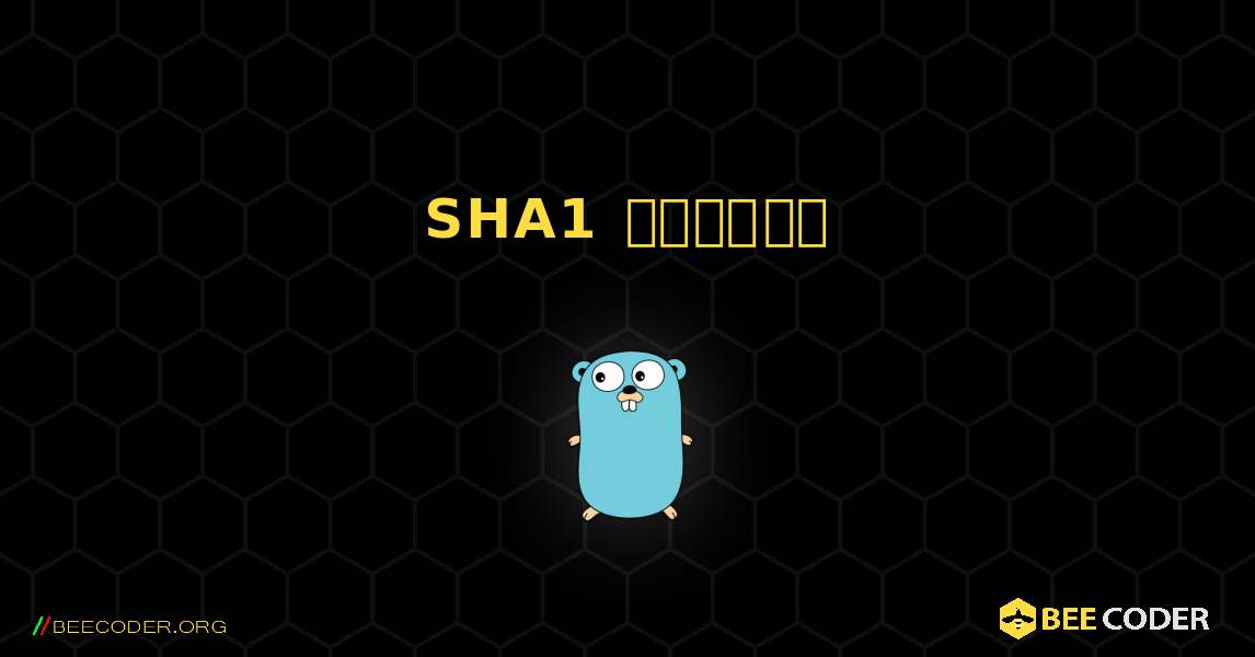 SHA1 హాష్‌లు. GoLang