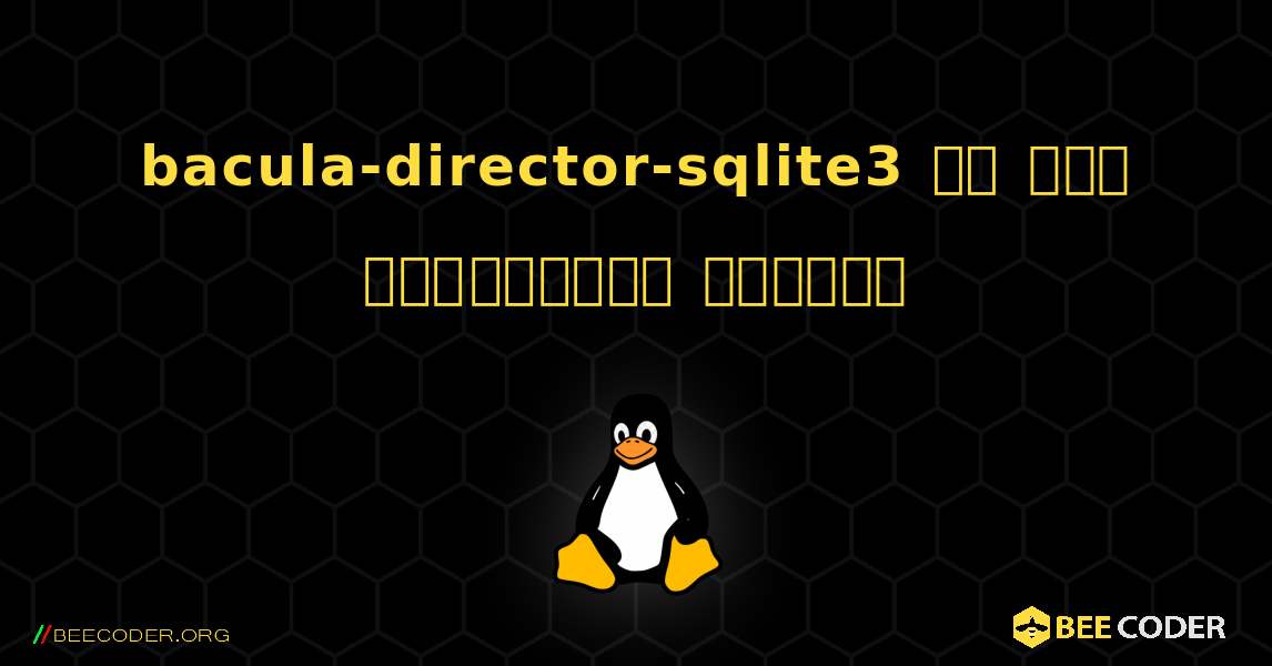 bacula-director-sqlite3 ని ఎలా ఇన్‌స్టాల్ చేయాలి. Linux
