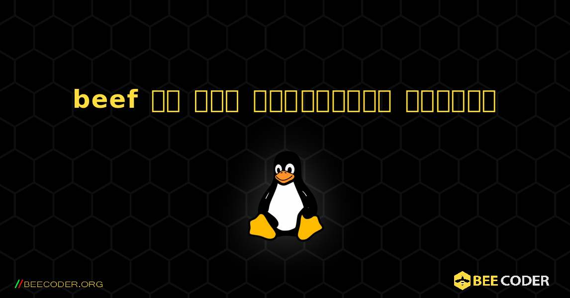 beef ని ఎలా ఇన్‌స్టాల్ చేయాలి. Linux