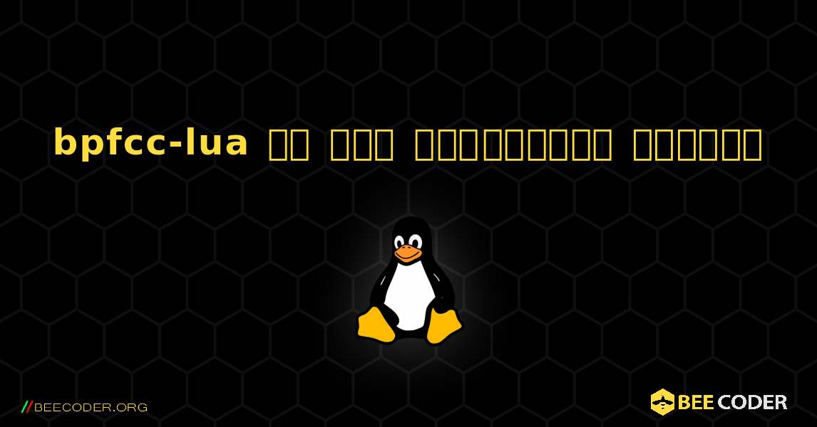 bpfcc-lua ని ఎలా ఇన్‌స్టాల్ చేయాలి. Linux