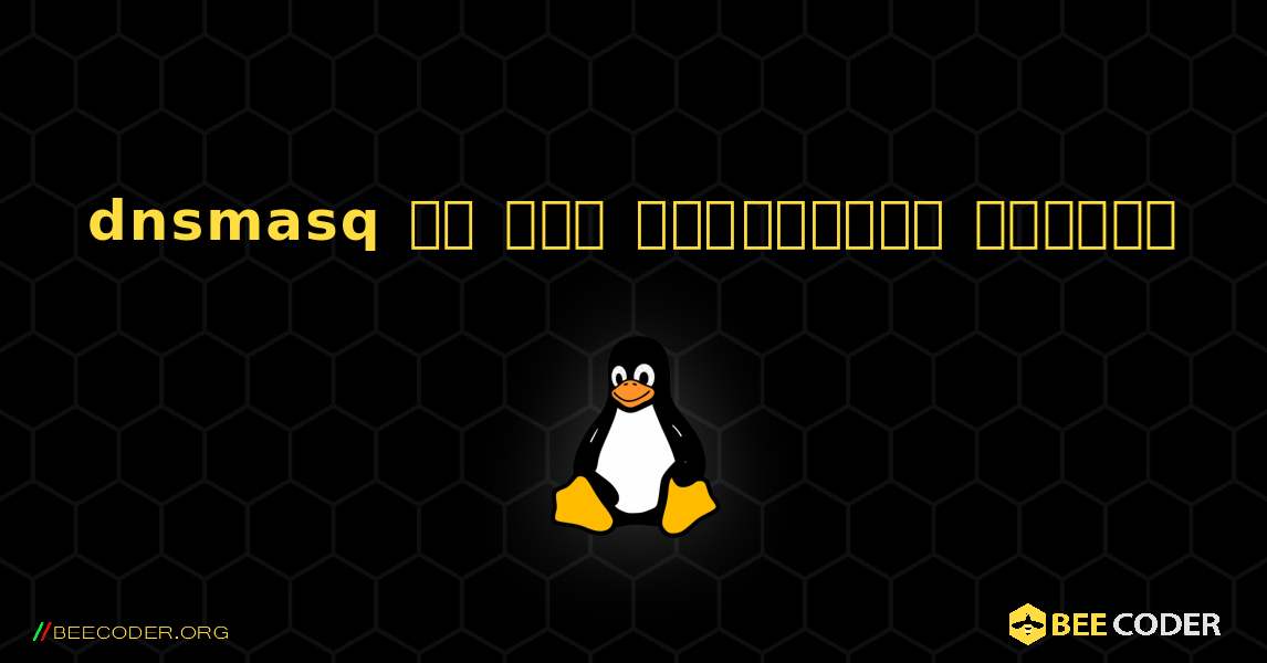 dnsmasq ని ఎలా ఇన్‌స్టాల్ చేయాలి. Linux