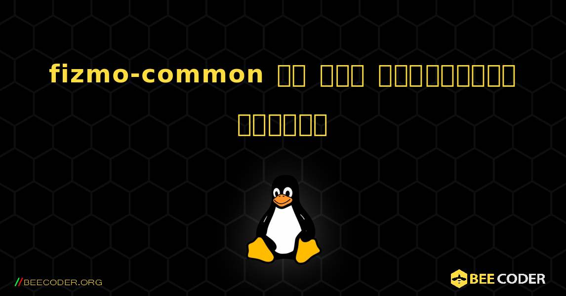 fizmo-common ని ఎలా ఇన్‌స్టాల్ చేయాలి. Linux