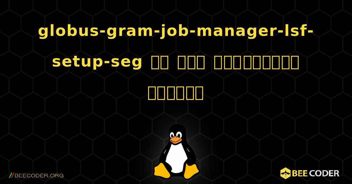 globus-gram-job-manager-lsf-setup-seg ని ఎలా ఇన్‌స్టాల్ చేయాలి. Linux