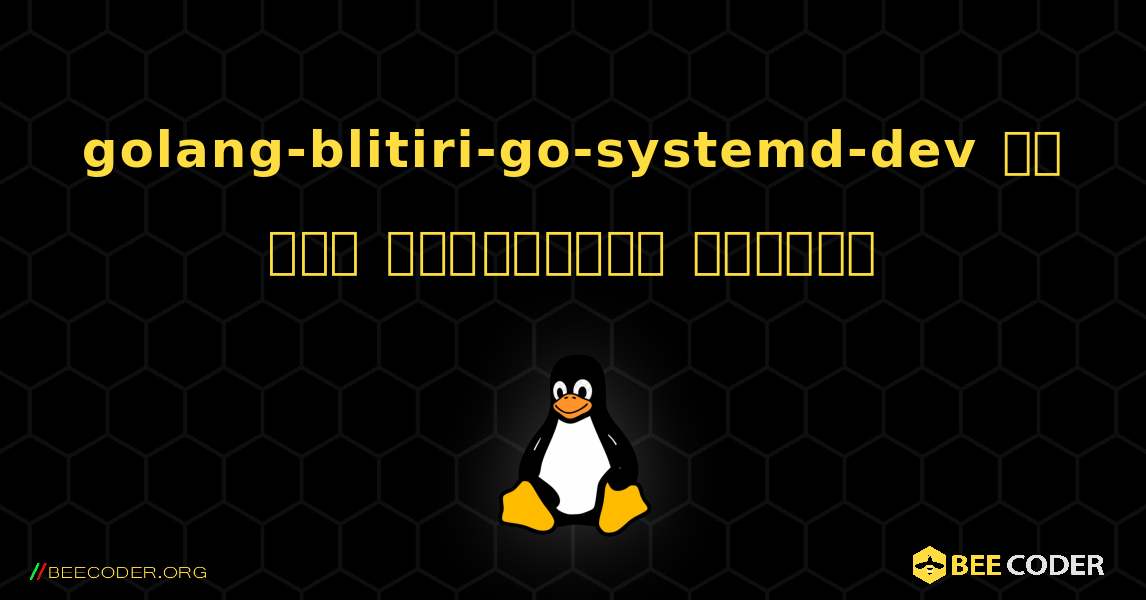 golang-blitiri-go-systemd-dev ని ఎలా ఇన్‌స్టాల్ చేయాలి. Linux