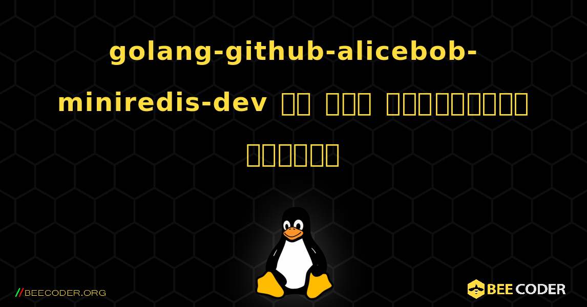 golang-github-alicebob-miniredis-dev ని ఎలా ఇన్‌స్టాల్ చేయాలి. Linux