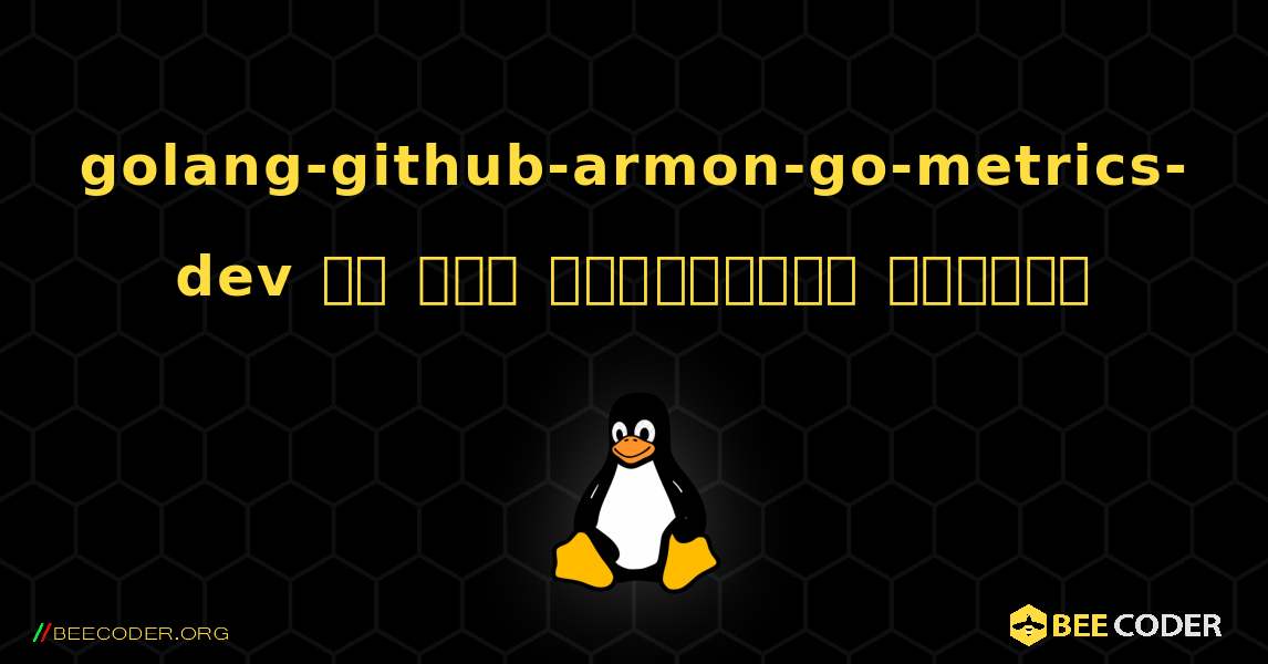 golang-github-armon-go-metrics-dev ని ఎలా ఇన్‌స్టాల్ చేయాలి. Linux