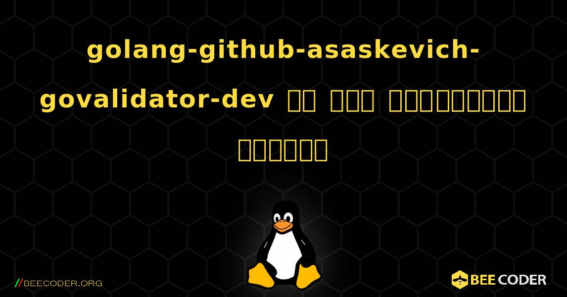 golang-github-asaskevich-govalidator-dev ని ఎలా ఇన్‌స్టాల్ చేయాలి. Linux