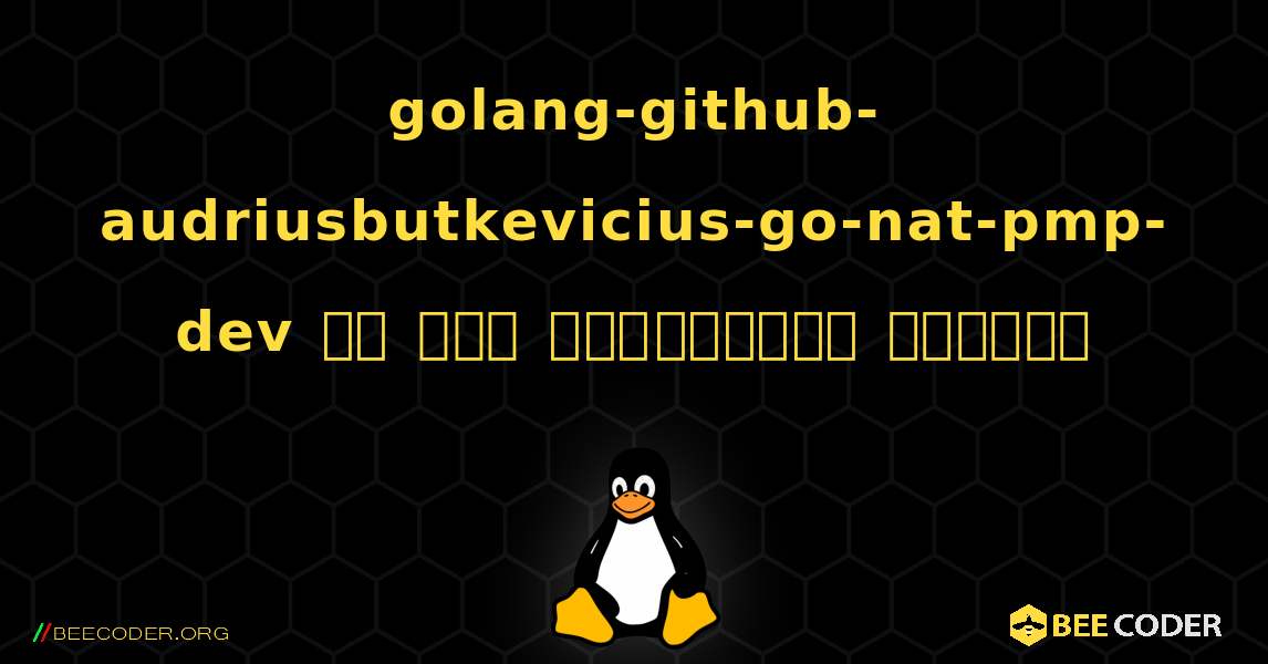 golang-github-audriusbutkevicius-go-nat-pmp-dev ని ఎలా ఇన్‌స్టాల్ చేయాలి. Linux