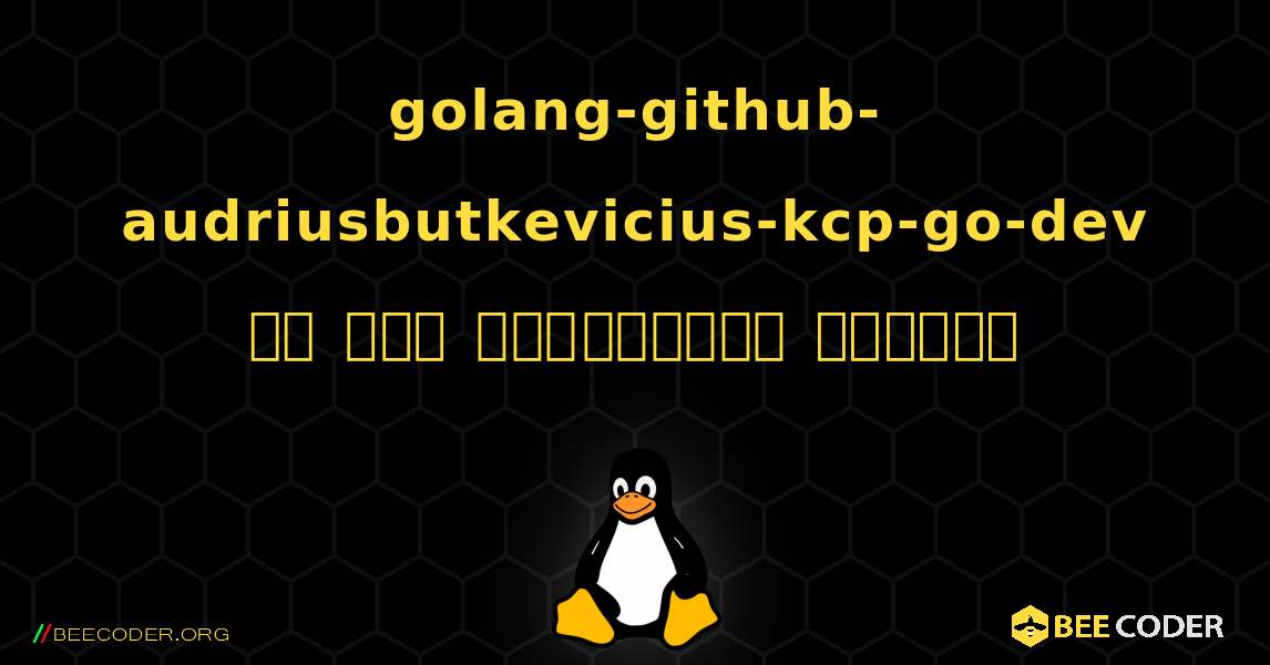 golang-github-audriusbutkevicius-kcp-go-dev ని ఎలా ఇన్‌స్టాల్ చేయాలి. Linux