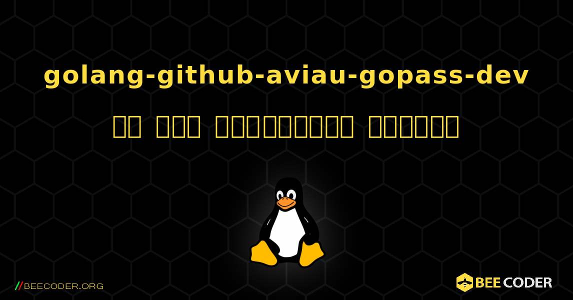 golang-github-aviau-gopass-dev ని ఎలా ఇన్‌స్టాల్ చేయాలి. Linux