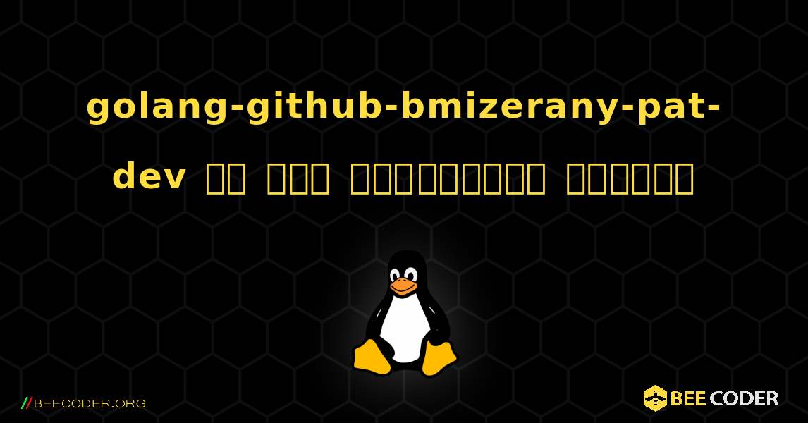 golang-github-bmizerany-pat-dev ని ఎలా ఇన్‌స్టాల్ చేయాలి. Linux