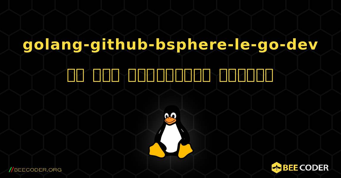 golang-github-bsphere-le-go-dev ని ఎలా ఇన్‌స్టాల్ చేయాలి. Linux