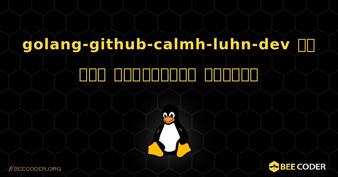 golang-github-calmh-luhn-dev ని ఎలా ఇన్‌స్టాల్ చేయాలి. Linux