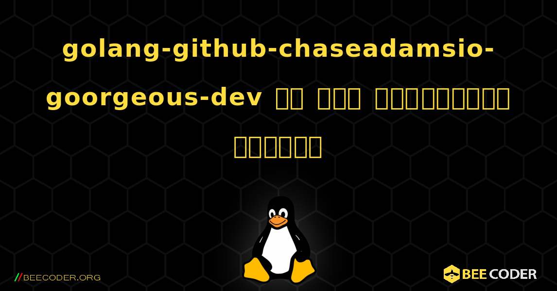 golang-github-chaseadamsio-goorgeous-dev ని ఎలా ఇన్‌స్టాల్ చేయాలి. Linux