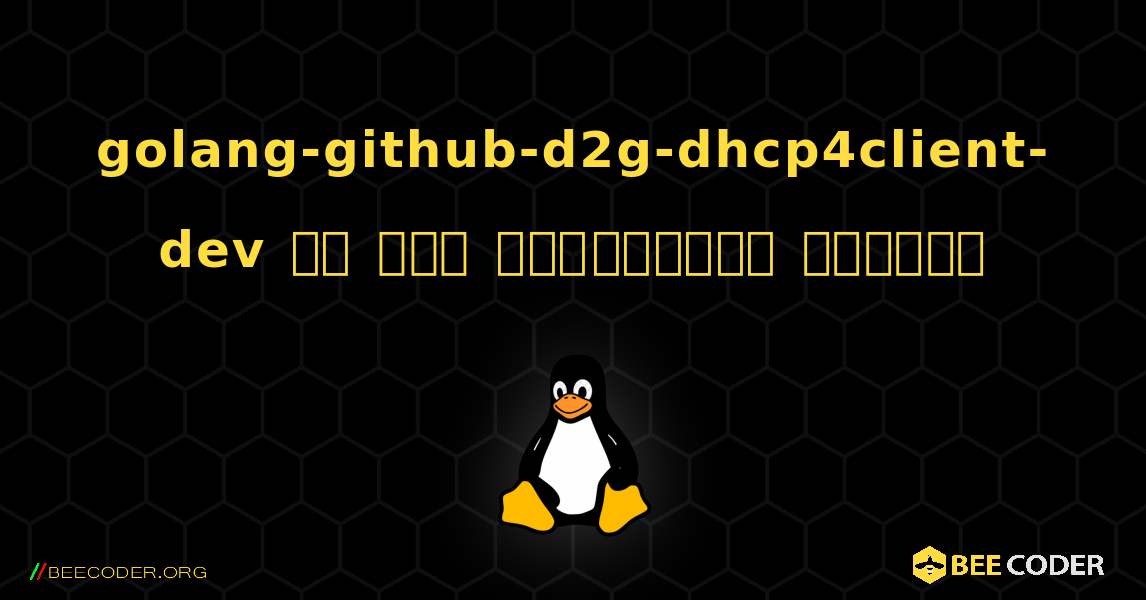 golang-github-d2g-dhcp4client-dev ని ఎలా ఇన్‌స్టాల్ చేయాలి. Linux