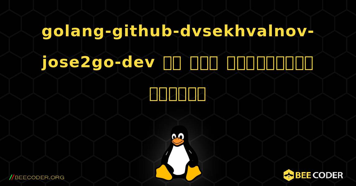 golang-github-dvsekhvalnov-jose2go-dev ని ఎలా ఇన్‌స్టాల్ చేయాలి. Linux