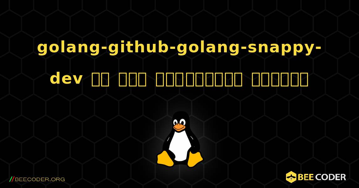 golang-github-golang-snappy-dev ని ఎలా ఇన్‌స్టాల్ చేయాలి. Linux