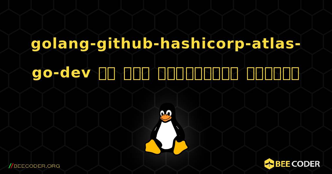 golang-github-hashicorp-atlas-go-dev ని ఎలా ఇన్‌స్టాల్ చేయాలి. Linux
