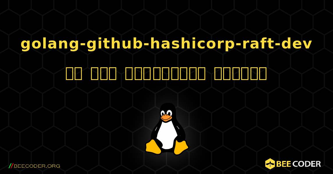 golang-github-hashicorp-raft-dev ని ఎలా ఇన్‌స్టాల్ చేయాలి. Linux