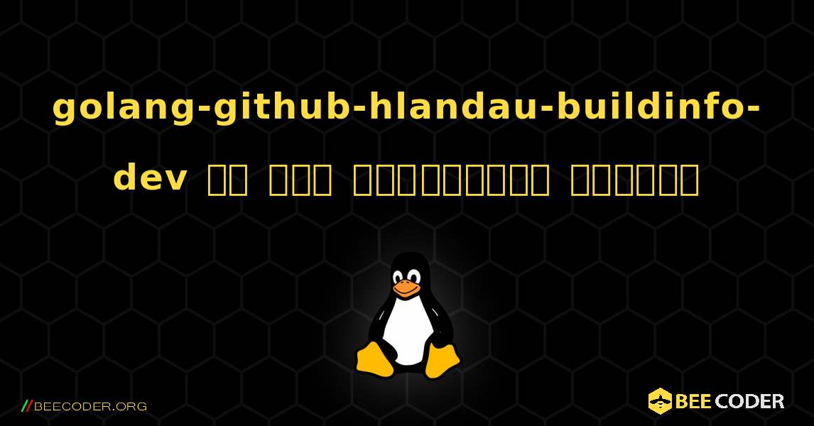 golang-github-hlandau-buildinfo-dev ని ఎలా ఇన్‌స్టాల్ చేయాలి. Linux