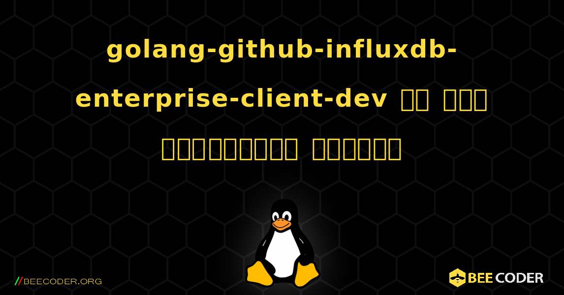 golang-github-influxdb-enterprise-client-dev ని ఎలా ఇన్‌స్టాల్ చేయాలి. Linux