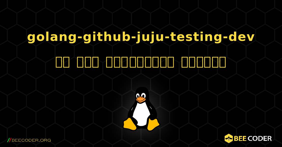 golang-github-juju-testing-dev ని ఎలా ఇన్‌స్టాల్ చేయాలి. Linux