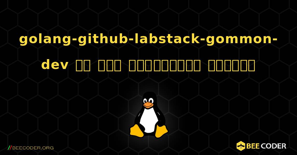 golang-github-labstack-gommon-dev ని ఎలా ఇన్‌స్టాల్ చేయాలి. Linux