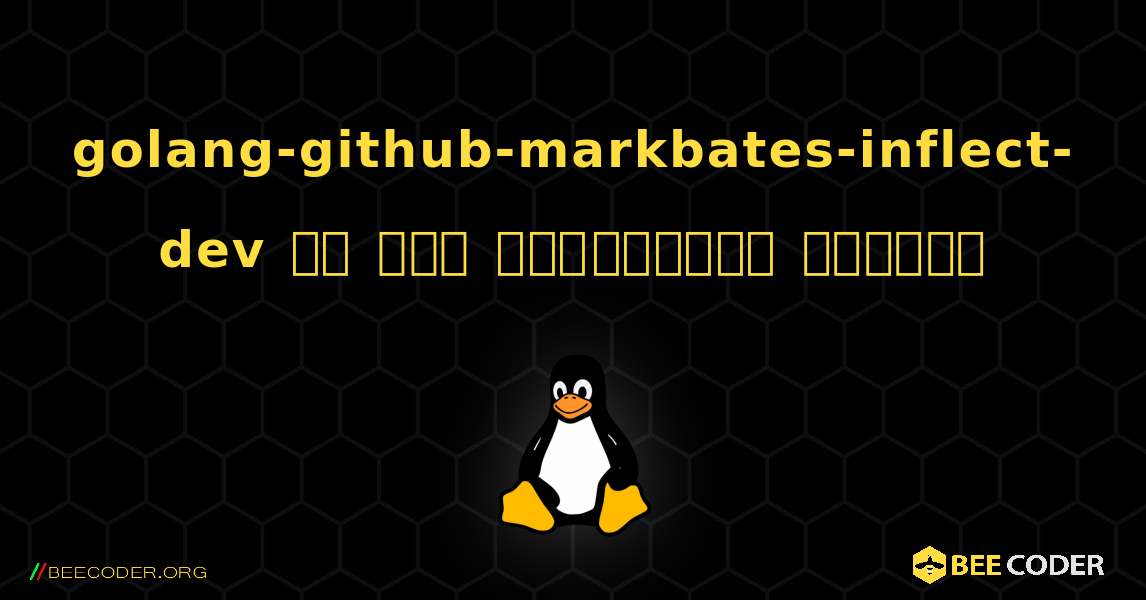 golang-github-markbates-inflect-dev ని ఎలా ఇన్‌స్టాల్ చేయాలి. Linux