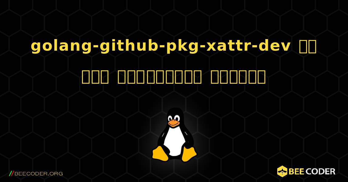 golang-github-pkg-xattr-dev ని ఎలా ఇన్‌స్టాల్ చేయాలి. Linux