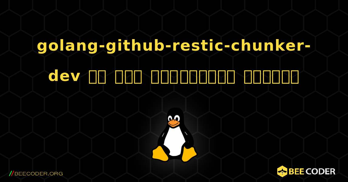golang-github-restic-chunker-dev ని ఎలా ఇన్‌స్టాల్ చేయాలి. Linux