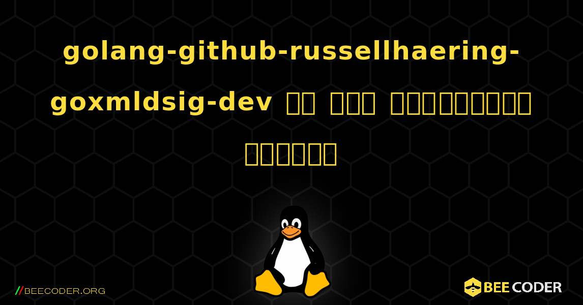 golang-github-russellhaering-goxmldsig-dev ని ఎలా ఇన్‌స్టాల్ చేయాలి. Linux