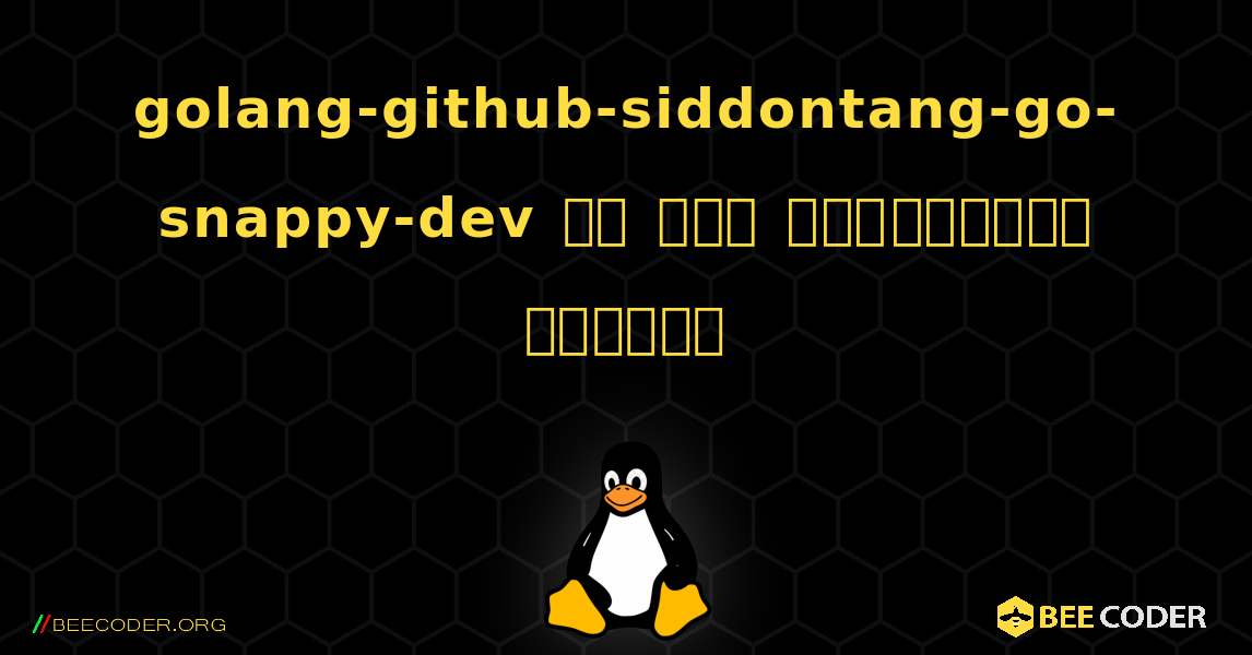 golang-github-siddontang-go-snappy-dev ని ఎలా ఇన్‌స్టాల్ చేయాలి. Linux