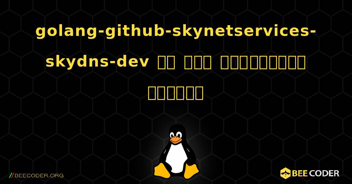 golang-github-skynetservices-skydns-dev ని ఎలా ఇన్స్టాల్ చేయాలి. Linux