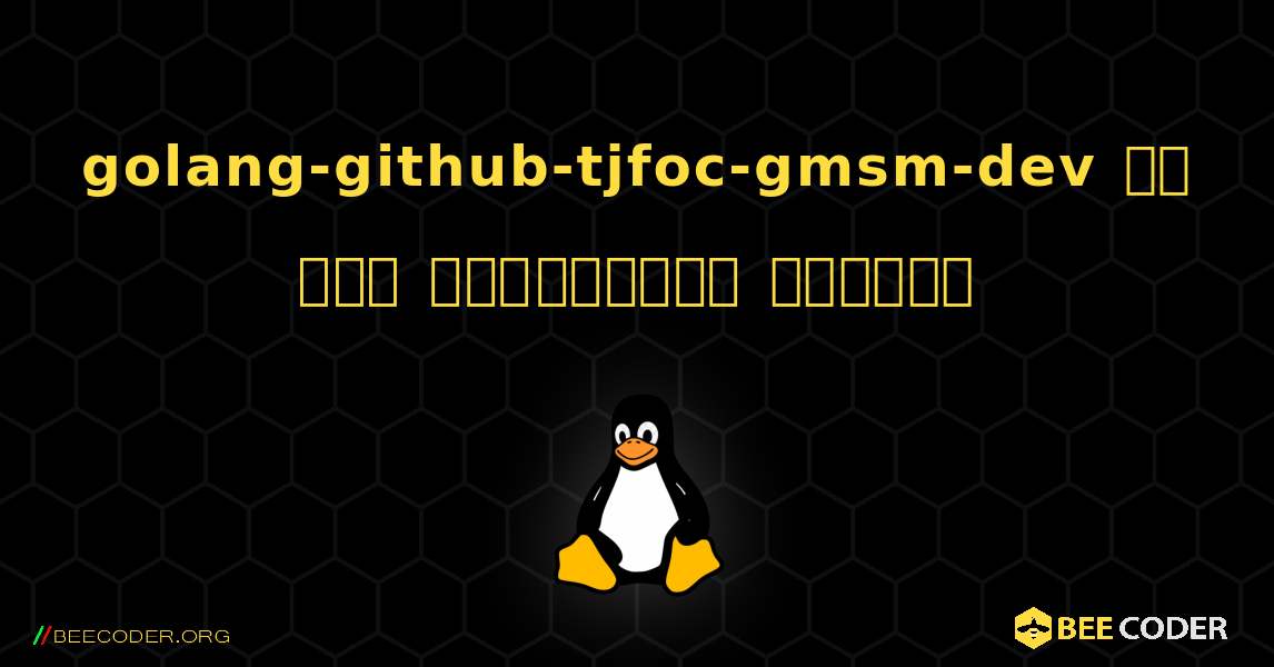 golang-github-tjfoc-gmsm-dev ని ఎలా ఇన్‌స్టాల్ చేయాలి. Linux