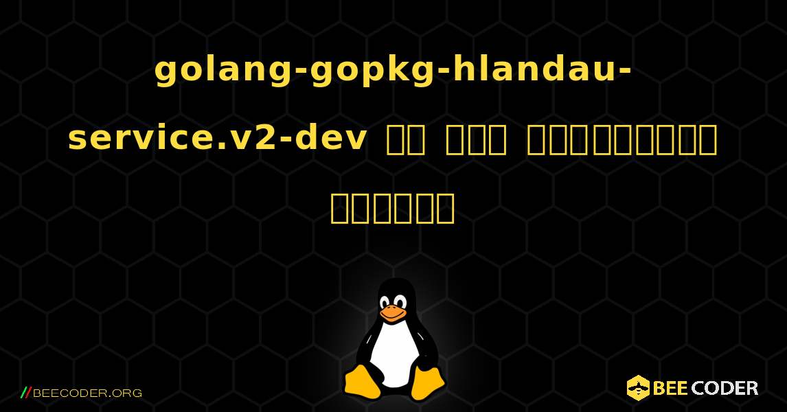 golang-gopkg-hlandau-service.v2-dev ని ఎలా ఇన్‌స్టాల్ చేయాలి. Linux