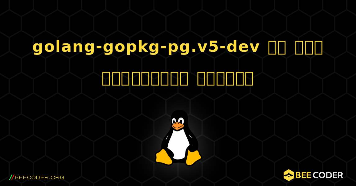 golang-gopkg-pg.v5-dev ని ఎలా ఇన్‌స్టాల్ చేయాలి. Linux
