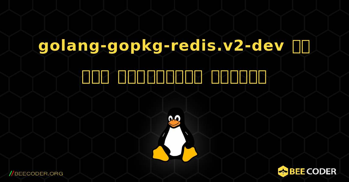 golang-gopkg-redis.v2-dev ని ఎలా ఇన్‌స్టాల్ చేయాలి. Linux